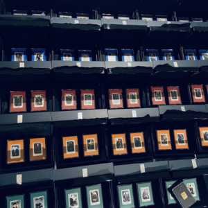2024 Harry Potter Trading Coin Collection